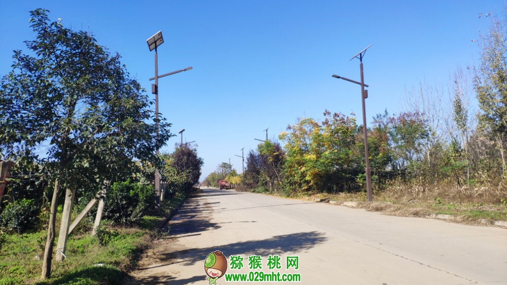 豪门国际 9b2f2