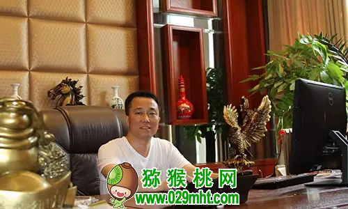 豪门国际官方网站图片
