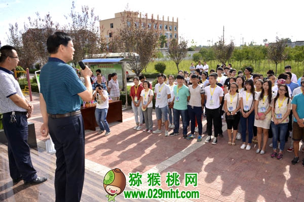 豪门国际官方网站图片