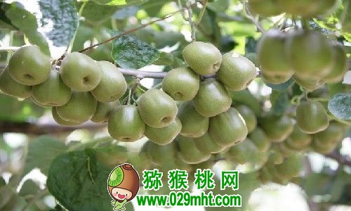豪门国际官方网站图片