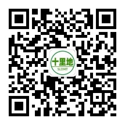 豪门国际 86133