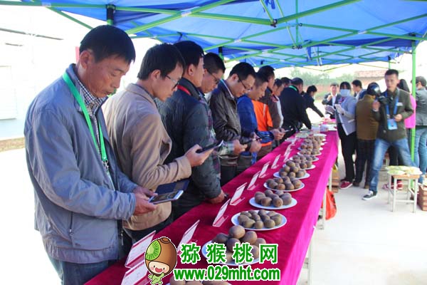 豪门国际官方网站图片