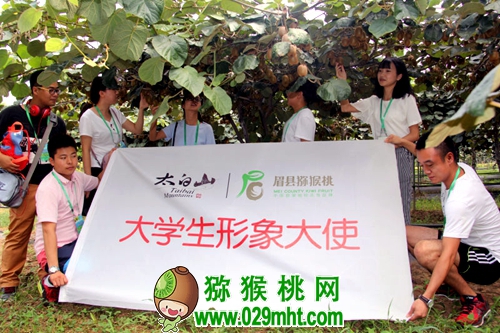 豪门国际官方网站图片