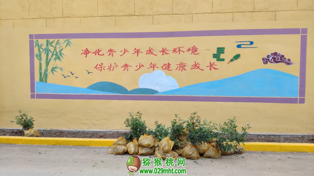 豪门国际 359b8