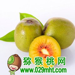 豪门国际官方网站图片