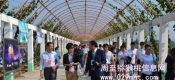 豪门国际猕猴桃什么时候成熟
