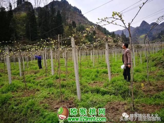 豪门国际官方网站图片