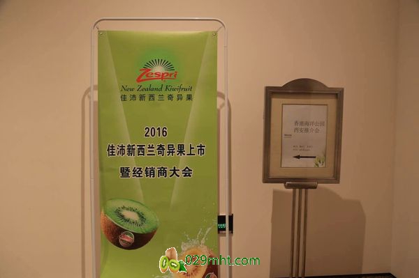 豪门国际官方网站图片