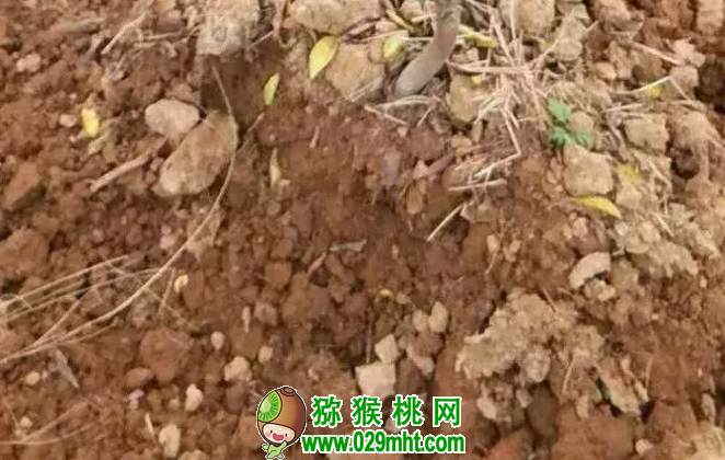 豪门国际官方网站图片