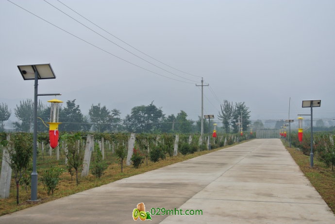 <a href=http://www.linux-china.com/zhouzhimihoutao/ target=_blank class=infotextkey />周至豪门国际猕猴桃</a><a href=http://www.linux-china.com/e/tags/index.php?tagname=%E4%B8%AD%E5%9B%BD%E7%8C%95%E7%8C%B4%E6%A1%83%E4%B9%8B%E4%B9%A1&page=0 target=_blank class=infotextkey>豪门国际之乡</a>