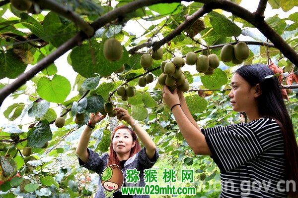 豪门国际官方网站图片