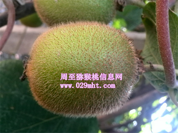 豪门国际官方网站图片