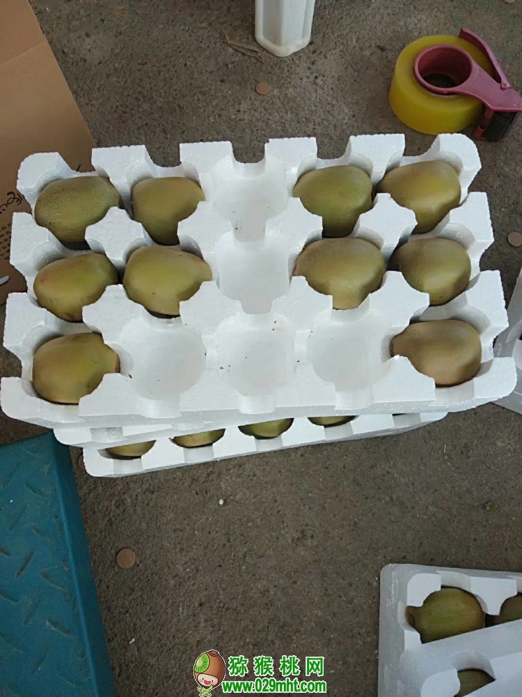豪门国际 8c944