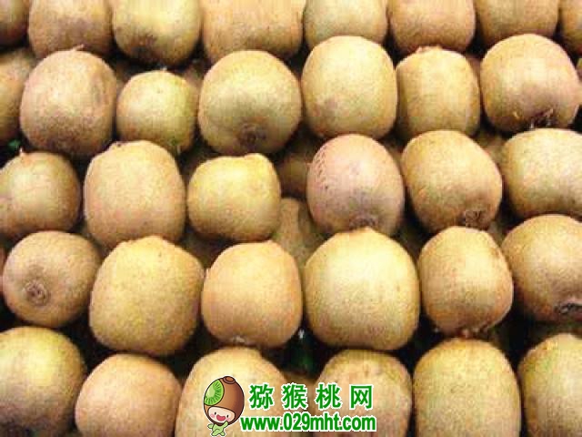 豪门国际 65193