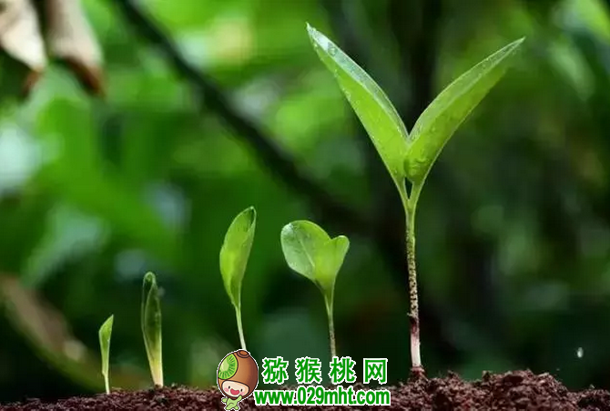 豪门国际官方网站图片