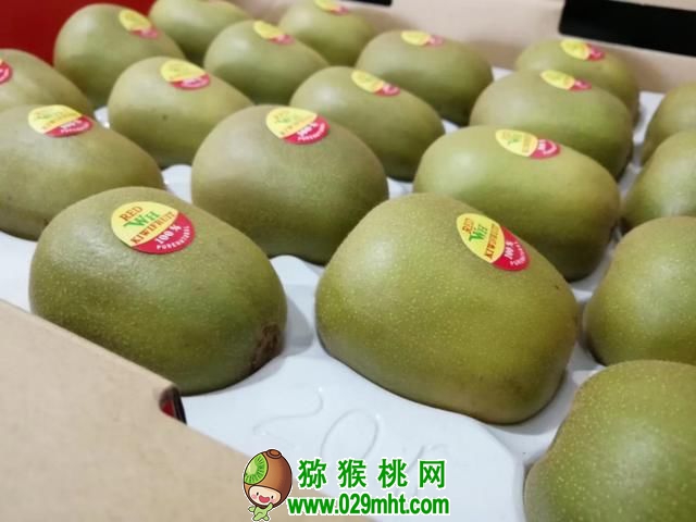 豪门国际官方网站图片