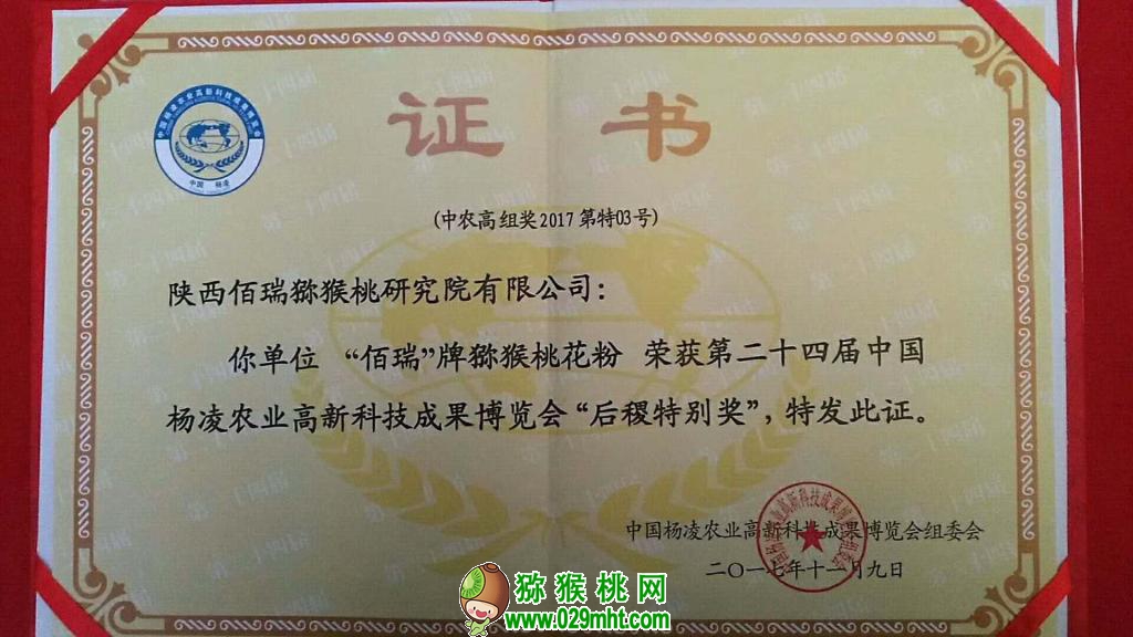 豪门国际官方网站图片