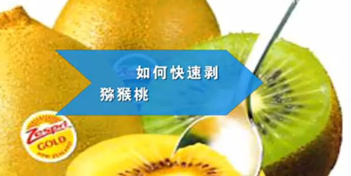 豪门国际官方网站图片