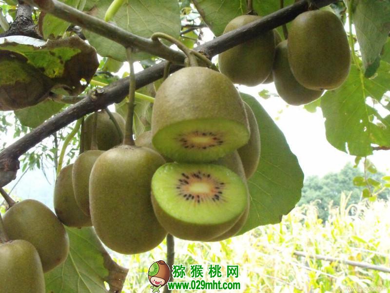 豪门国际官方网站图片