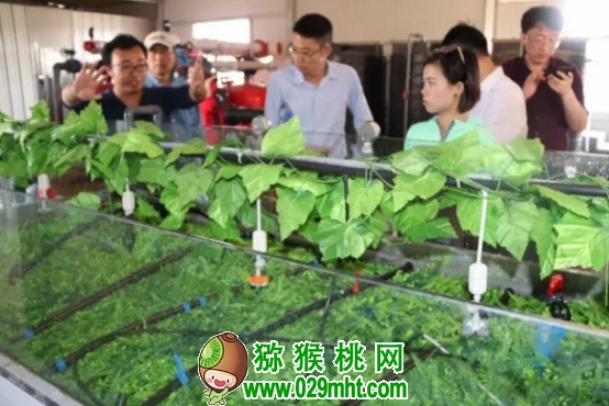 豪门国际官方网站图片