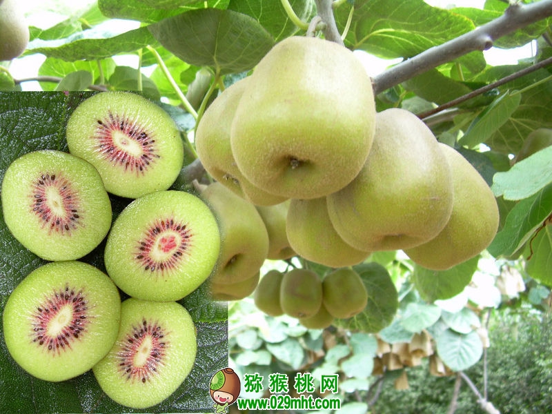 豪门国际官方网站图片