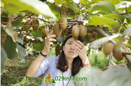 豪门国际官方网站图片