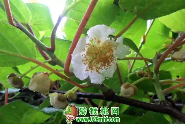 豪门国际官方网站图片