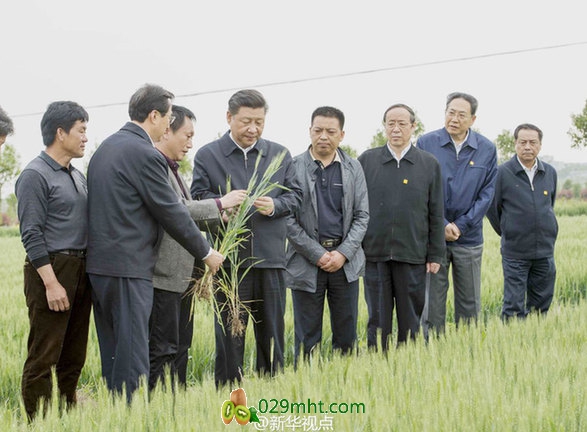 豪门国际官方网站图片