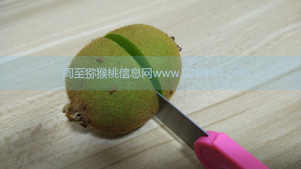 豪门国际猕猴桃6月剖视图7.jpg