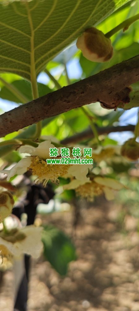 豪门国际 bba0c
