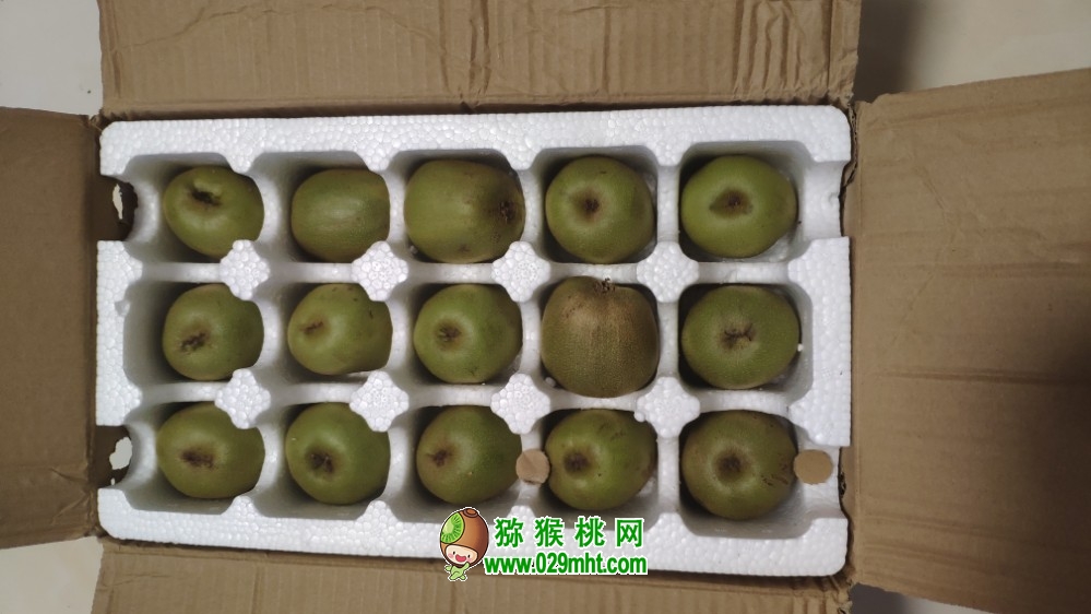 豪门国际 8a069