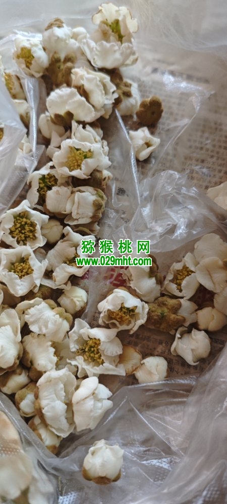 豪门国际 ca56b