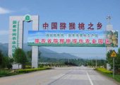眉县豪门国际猕猴桃图片