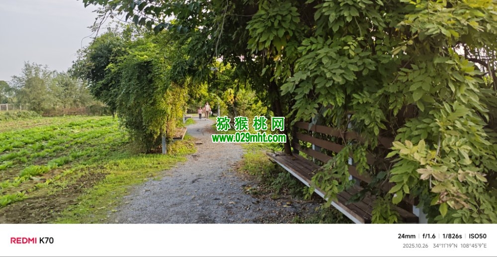豪门国际 fbd0c