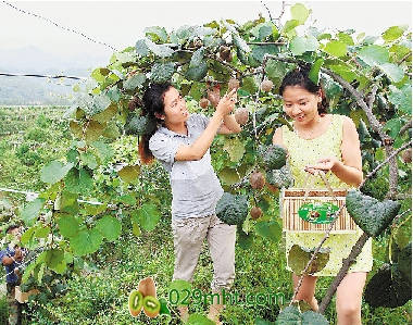 豪门国际官方网站图片
