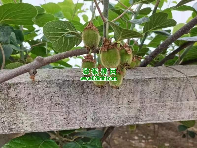 豪门国际 b6145