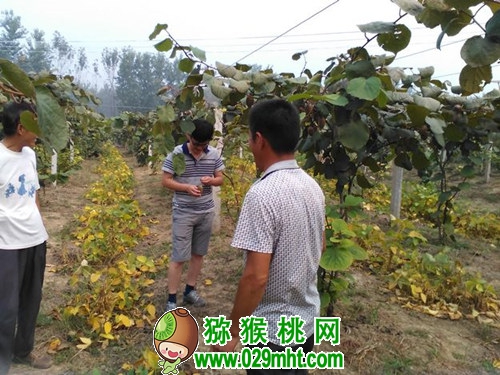 豪门国际官方网站图片