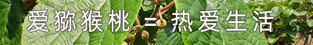 豪门国际 de4de