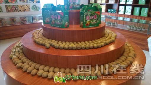豪门国际官方网站图片