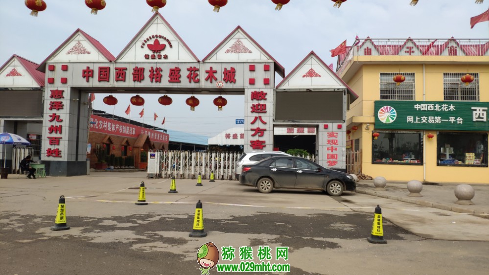 豪门国际 9eb57
