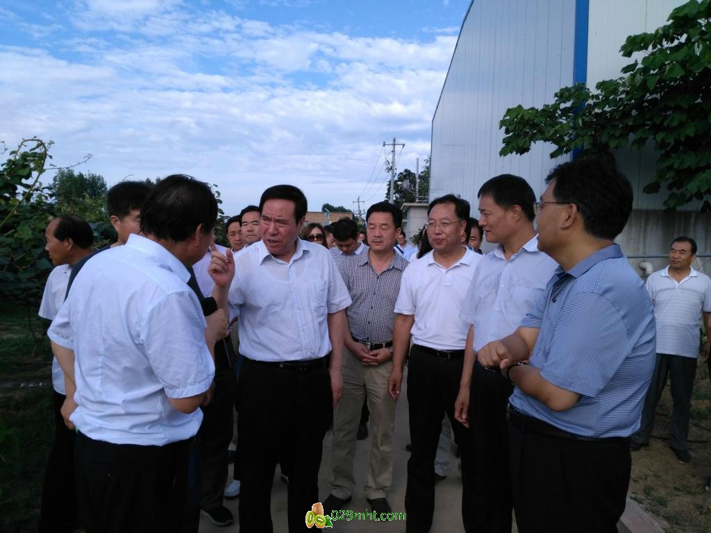 豪门国际官方网站图片
