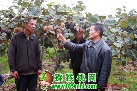 豪门国际官方网站图片