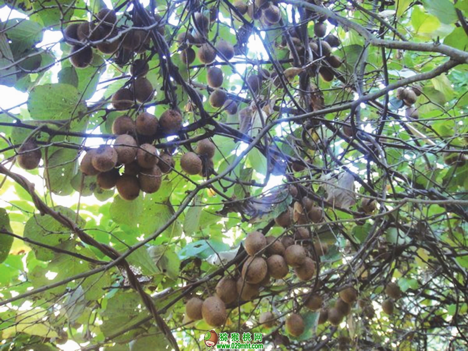 豪门国际官方网站图片