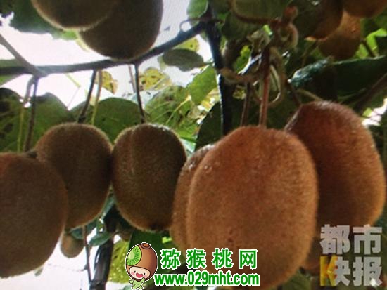 豪门国际官方网站图片
