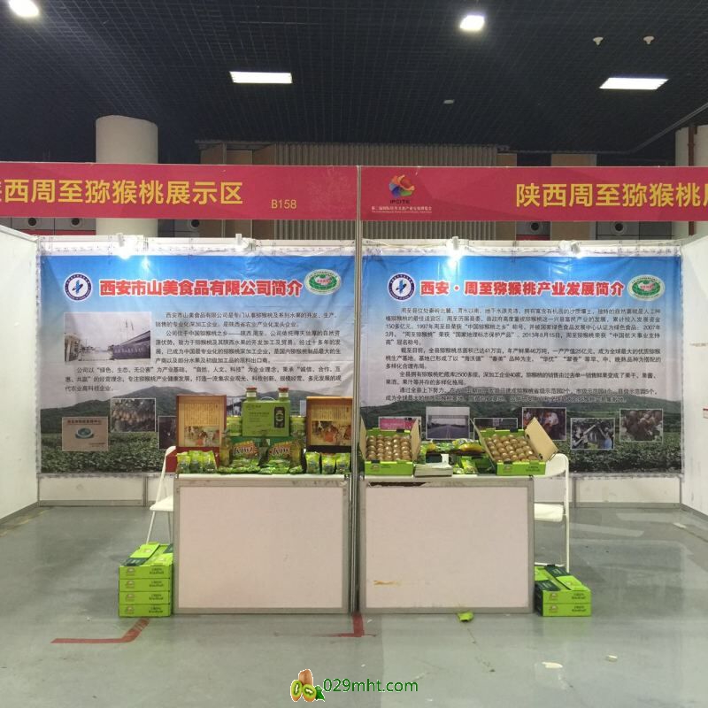 豪门国际官方网站图片