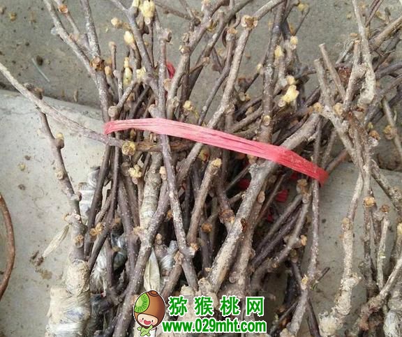 豪门国际官方网站图片