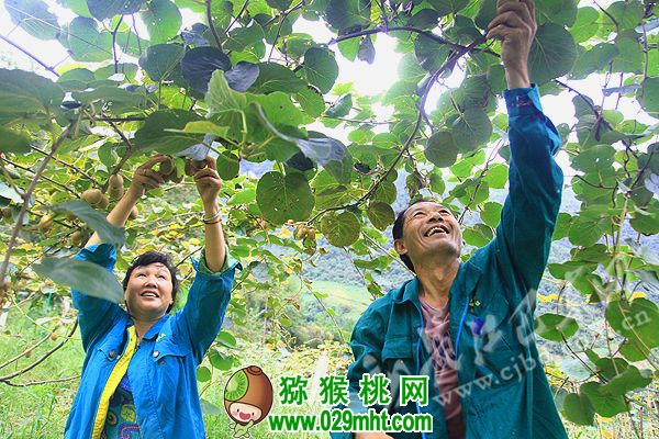 豪门国际 d8d0d