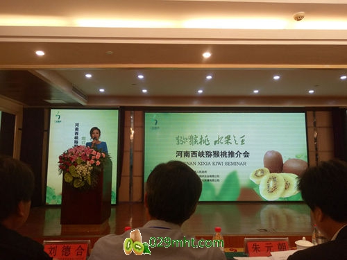 西峡豪门国际猕猴桃产业推介会 西峡豪门国际猕猴桃产业推介会