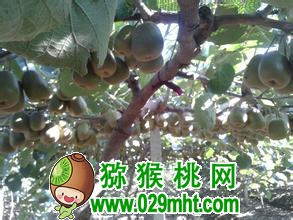 豪门国际官方网站图片