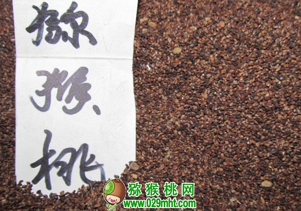 豪门国际官方网站图片